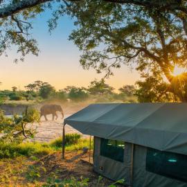 Kruger Untamed - Tshokwane River Camp, hotell i Skukuza