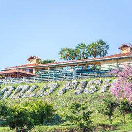 Hotel Gold Fish, hotel en Corumbá