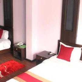 The Green Plaza Lodge, hotel a Dhangarhi