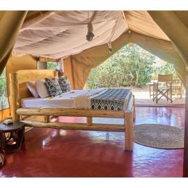 Tindiga Tented Camp、Mangolaのホテル
