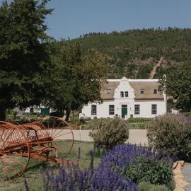 Franschhoek में, होटल Rickety Bridge Estate
