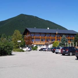 Hotel Paradiesquelle Schneeberg, hotelli kohteessa Puchberg am Schneeberg