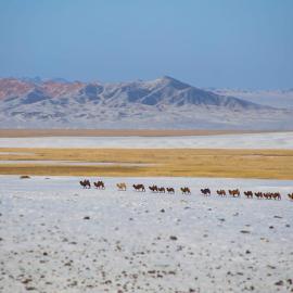 Mongolian Nomadic Herders, hotel en Dörgön
