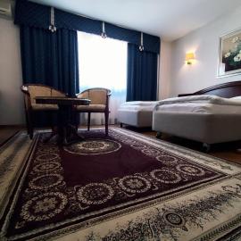 Hotel Vila Ariston, Hotel in Osijek