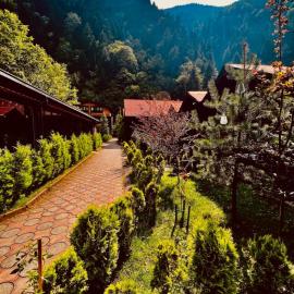 Akyuz Kardesler Hotel & Bungalow, hotel v destinácii Uzungöl