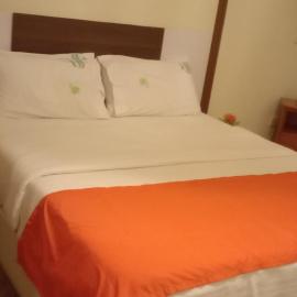 1 bedroom apartment near UN base and Airport, hotel em Entebbe