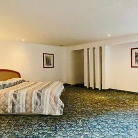 Hotel Altum Business