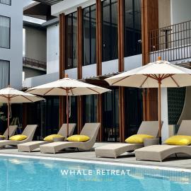 Whale Retreat Destination