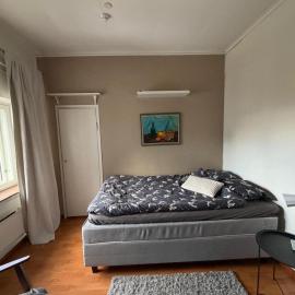 Snygg studio lägenhet Wolffskavägen 21，瓦薩的飯店