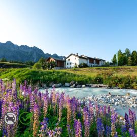 Hotel Chesa Pool, hotel in Sils Maria