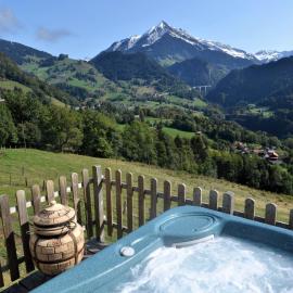 Les chambres et Roulottes des Noisetiers, hotel a Leysin