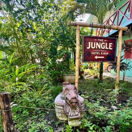 The Jungle Hotel and Bar