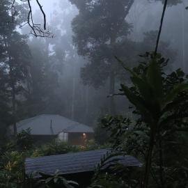 FREEDOM HOUSE, Munnar - A Backpackers Hostel, hotel di Munnar