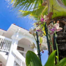 Palm Breeze Hotel