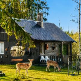 Lake Deer Park Retreat with Hot Tub & Sauna, hotel a Talsi