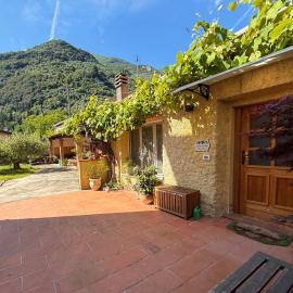La casina di mezzo - Tiny House, hotel din Camaiore