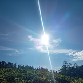 The Rainforest Village, hotel en Mederipitiya