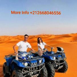 Authentic Desert Luxury Camp, отель в Мерзуге
