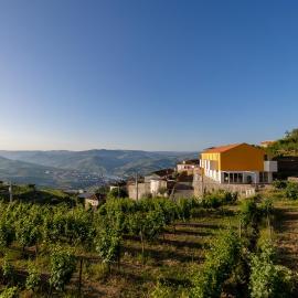 Casas da Quinta de Santa Cruz - Douro Land