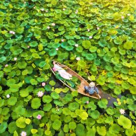 Lotus Hotel Vuon Vua Phu Tho, hotel en Phú Thọ