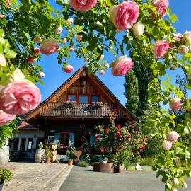 Weingut Winzerzimmer Rothschädl