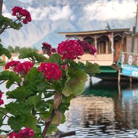 Houseboat In Dallake, ξενοδοχείο στο Σριναγκάρ
