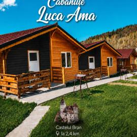 Cabanute Luca Ama Bran، فندق في برانْ
