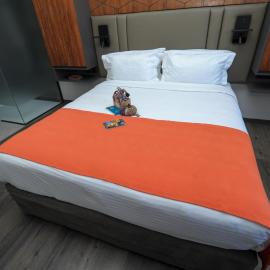 Le Louvre Hotel & Spa、アンタナナリボのホテル