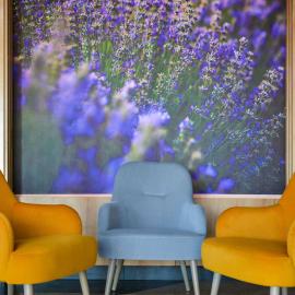 Mercure Medias Binderbubi Hotel And Spa, готель у місті Медіаш