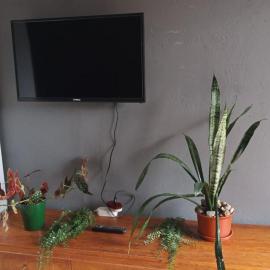 Homeland Guest House and Backpackers, hotel u gradu Roma