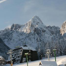 Hotel Alpina, отель в Краньска-Горе