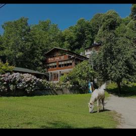 Özde Dağ Evi, hotel v destinácii Sapanca