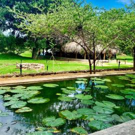 Yaalu Yaala Safari Camp, hotell sihtkohas Palatupana