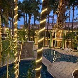 Hotel Solé Plaza Guadalajara,位于瓜达拉哈拉的酒店