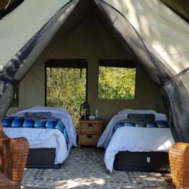 The Bell Frog Inn, hotell sihtkohas Maun