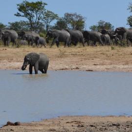 7 roomed boutique safari Lodge-Chobe Sunset Chalets, Hotel in Lesoma