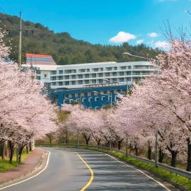 통영 동원리조트&유스호스텔, hotel i Tongyeong