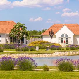 Chalets Franciska Major, Pro Village, hótel í Sopronkövesd