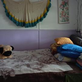 погружение в природу, hotel a Drăsliceni