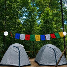 Zion Campsite, hotell i Ziro