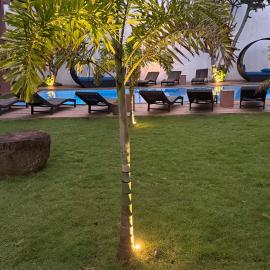Hotel Cloud 9 Negombo，尼甘布的飯店