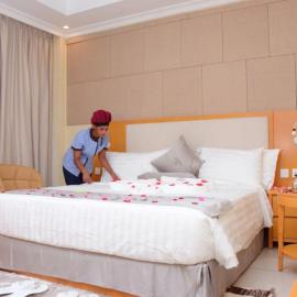 Diamond Luxury Hotel plc, hotel a Desē