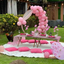 Picnic garden, hotel en Ablajei