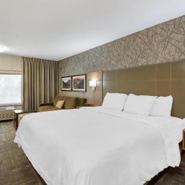 Best Western Plus CottonTree Inn, hotell i Idaho Falls