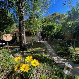 DragoNNest Bungalow, hotel u gradu Kupusina