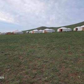 Steppe Naadam Lodge, hotell sihtkohas Argalant