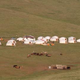 Steppe Naadam Lodge, hotell i Argalant