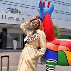 Pullman Kinshasa Grand Hotel, hotel i Kinshasa
