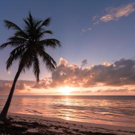 Vacation HOTEL - Bavaro beach CLUB - WIFI - Parking - Tropicana SUITES STUDIOS - SPA, готель у місті Пунта-Кана