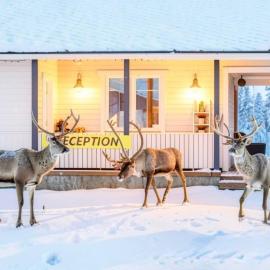 Scandinavian Dream Cottages Vikajarvi- Rovaniemi, hotel em Vikajärvi